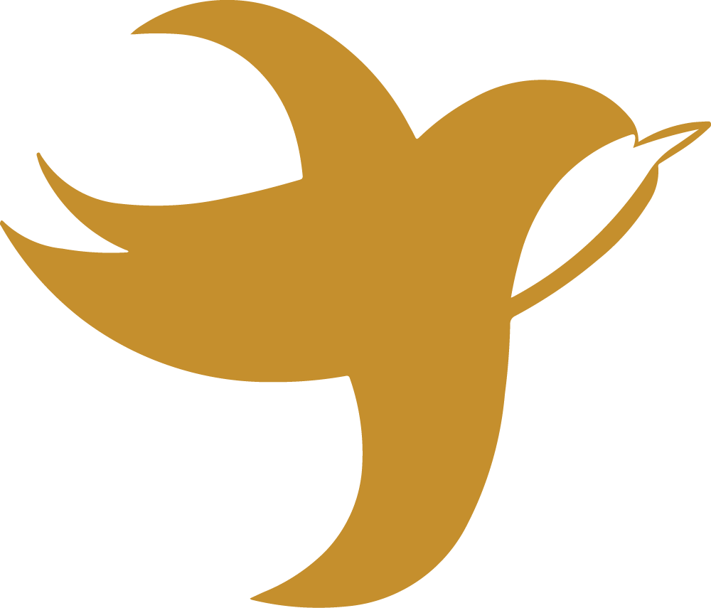 Startseite MeinCare Logo